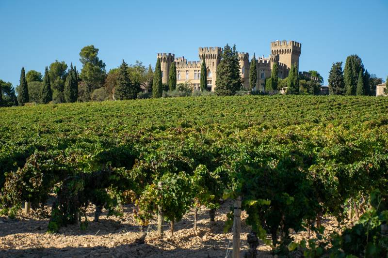 Discover the finest wines of Châteauneuf-du-Pape & Rhône Valley in ultimate comfort with our luxury minibus tour.